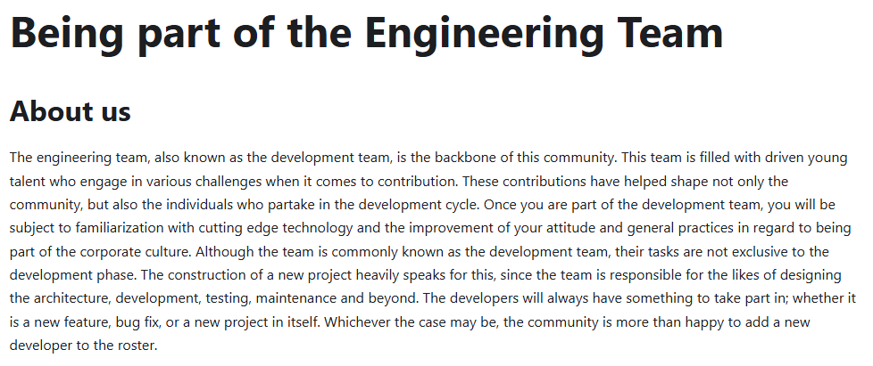 Screenshot of the Engineering Team About Us page